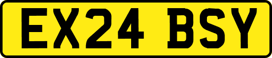 EX24BSY