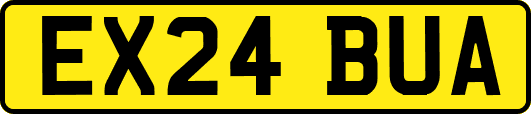 EX24BUA