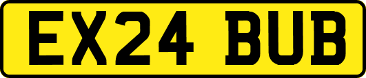 EX24BUB