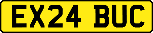 EX24BUC