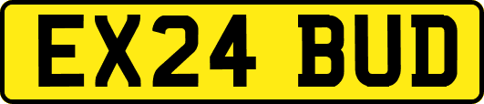 EX24BUD