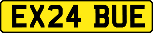 EX24BUE