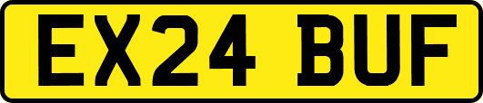 EX24BUF