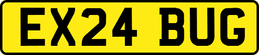 EX24BUG