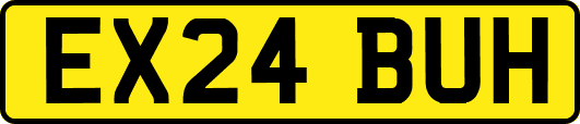 EX24BUH