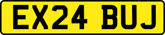 EX24BUJ