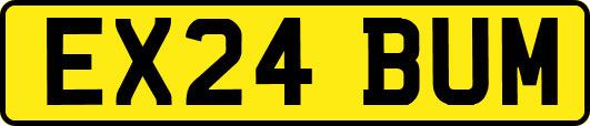EX24BUM