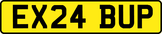 EX24BUP