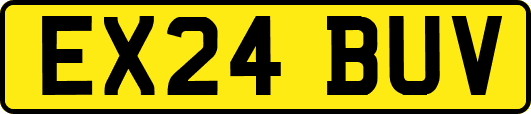 EX24BUV