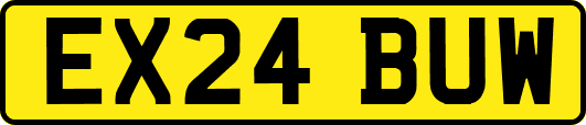 EX24BUW