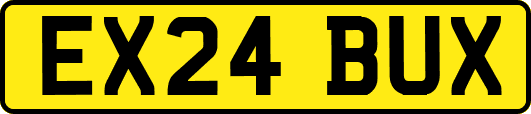 EX24BUX