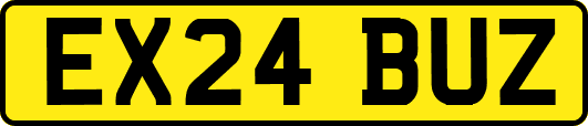 EX24BUZ