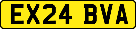 EX24BVA