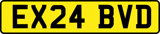 EX24BVD