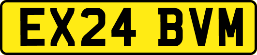 EX24BVM