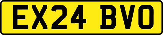 EX24BVO