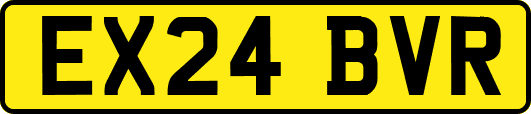EX24BVR