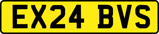 EX24BVS