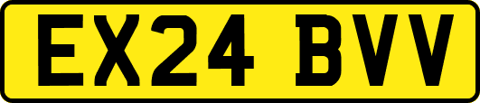 EX24BVV