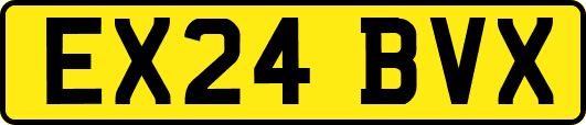 EX24BVX