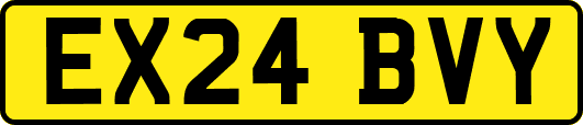 EX24BVY