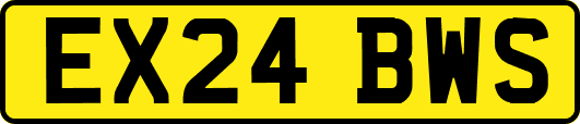 EX24BWS