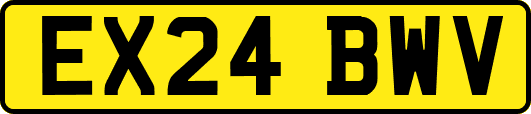 EX24BWV