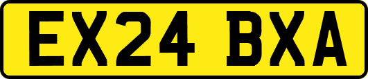 EX24BXA