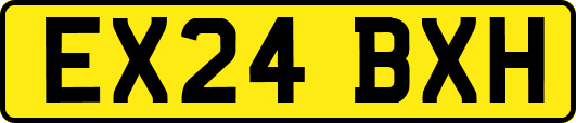 EX24BXH
