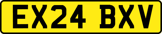 EX24BXV