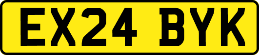 EX24BYK