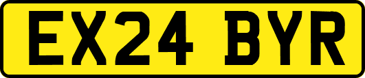 EX24BYR