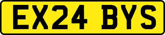 EX24BYS