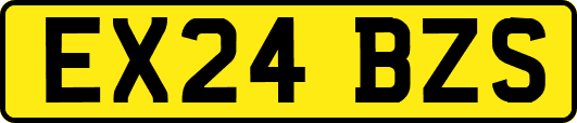 EX24BZS