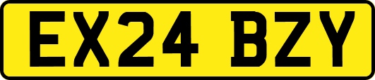 EX24BZY