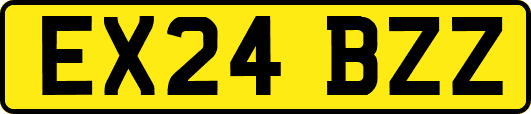 EX24BZZ