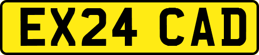EX24CAD