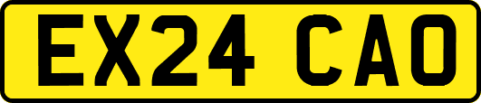 EX24CAO