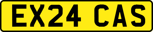 EX24CAS