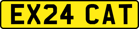 EX24CAT