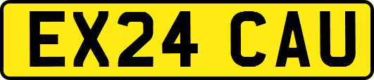 EX24CAU