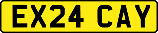 EX24CAY