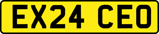 EX24CEO