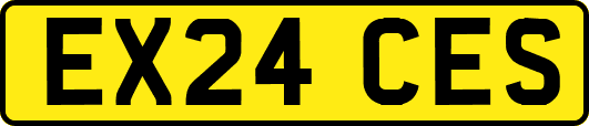 EX24CES
