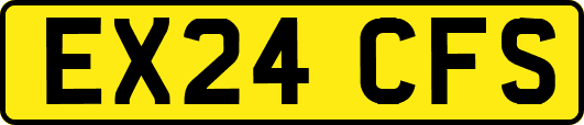 EX24CFS