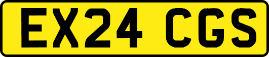 EX24CGS