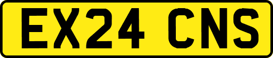 EX24CNS