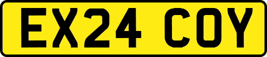 EX24COY