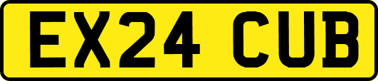 EX24CUB