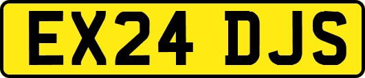 EX24DJS